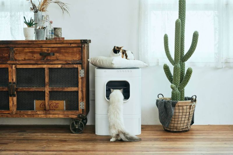 Zelfreinigende kattenbakken