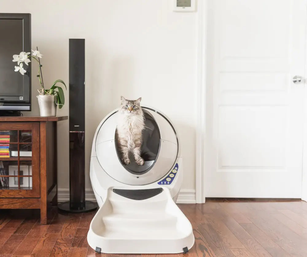Whisker Litter Robot 3 beige