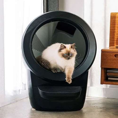 Whisker Litter Robot 4 zwart