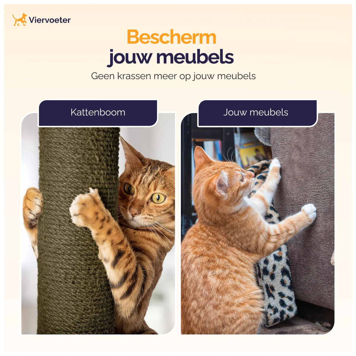 Levensechte kattenboom