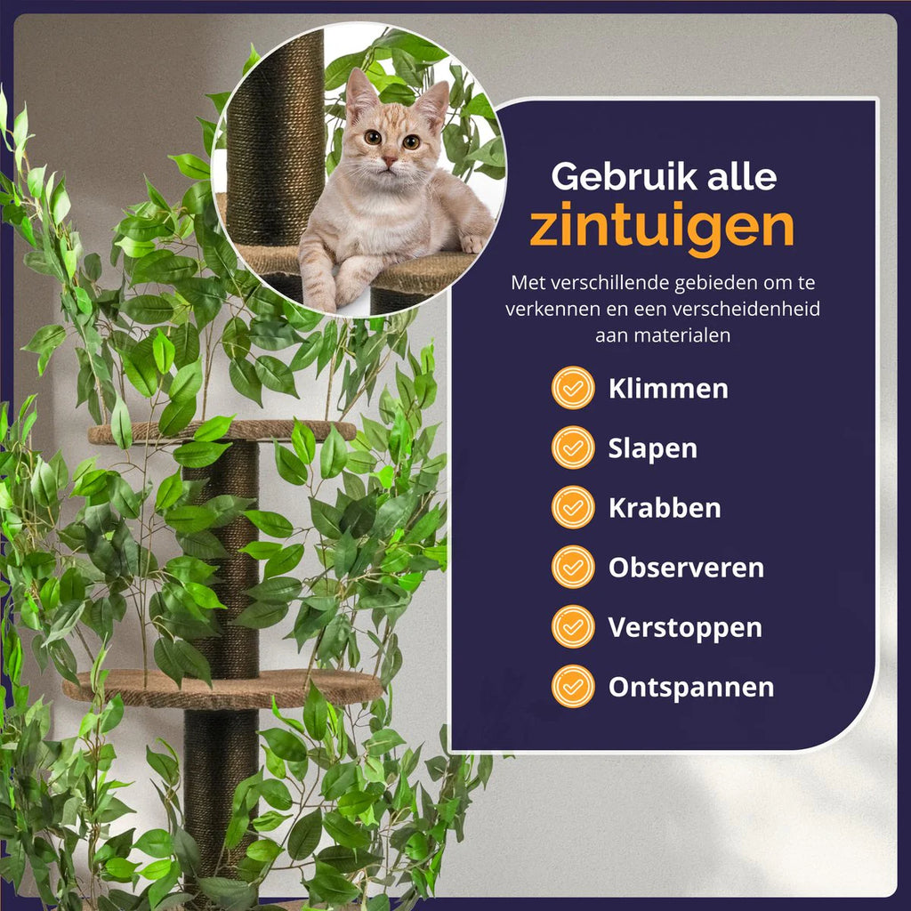 Levensechte kattenboom