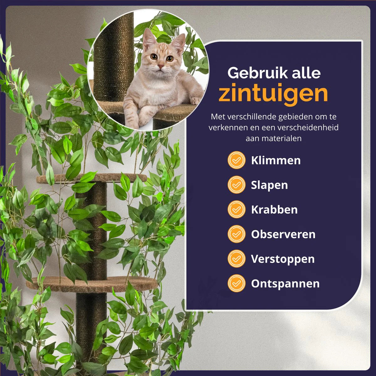 Levensechte kattenboom