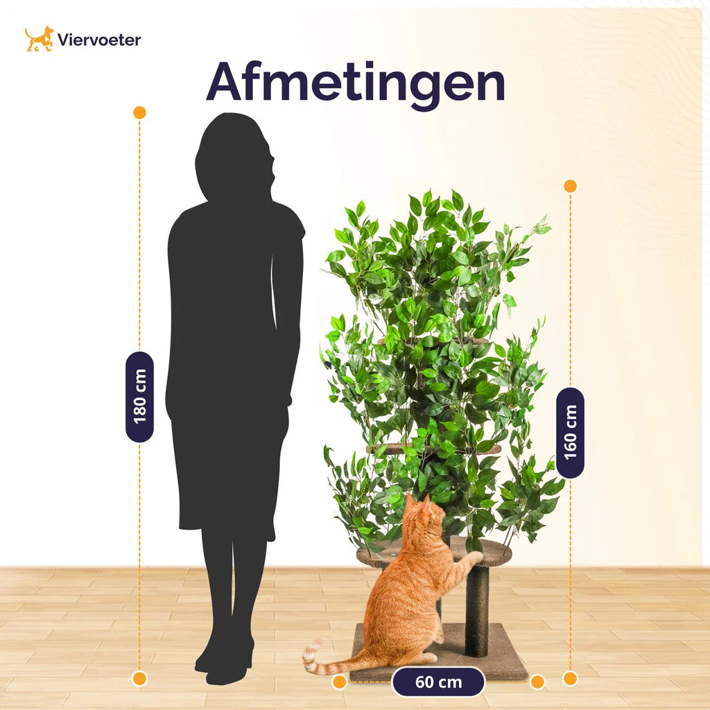 Levensechte kattenboom