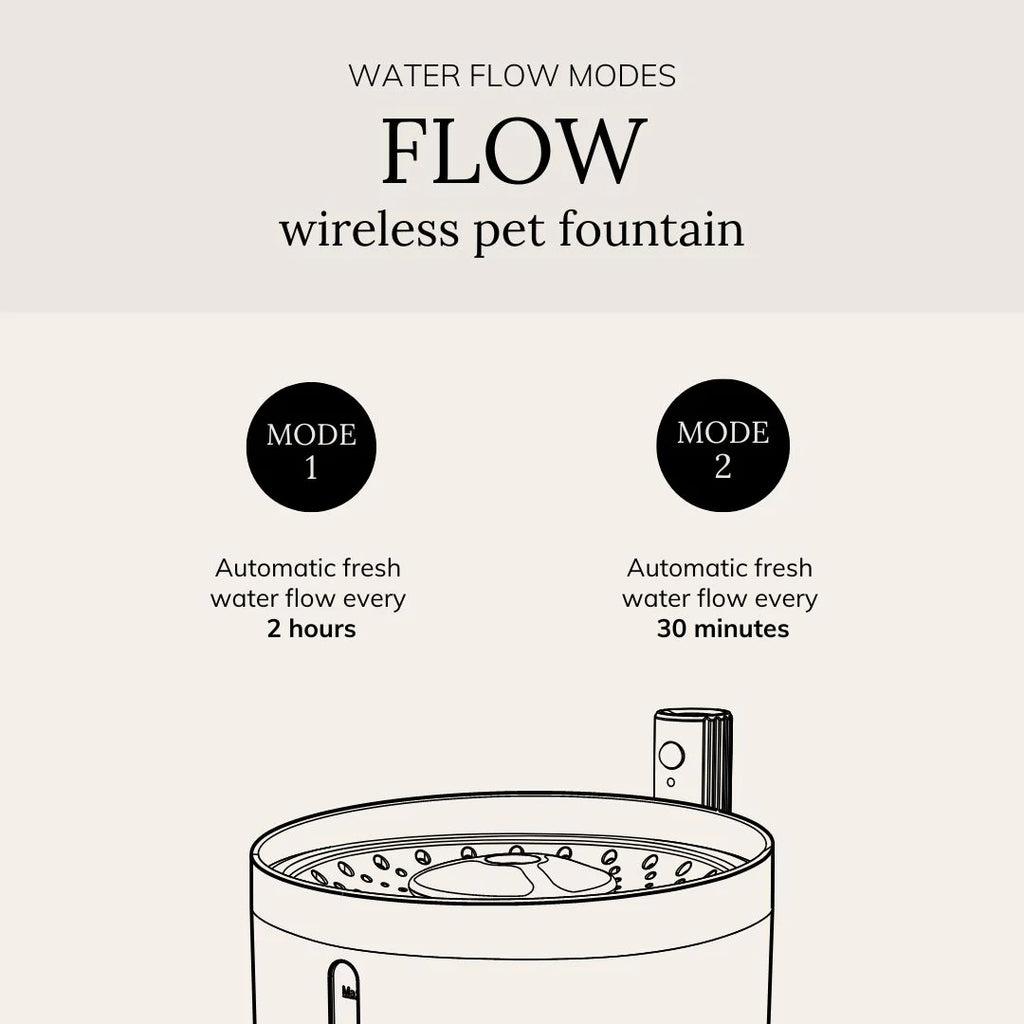 Petlux drinking fountain with app