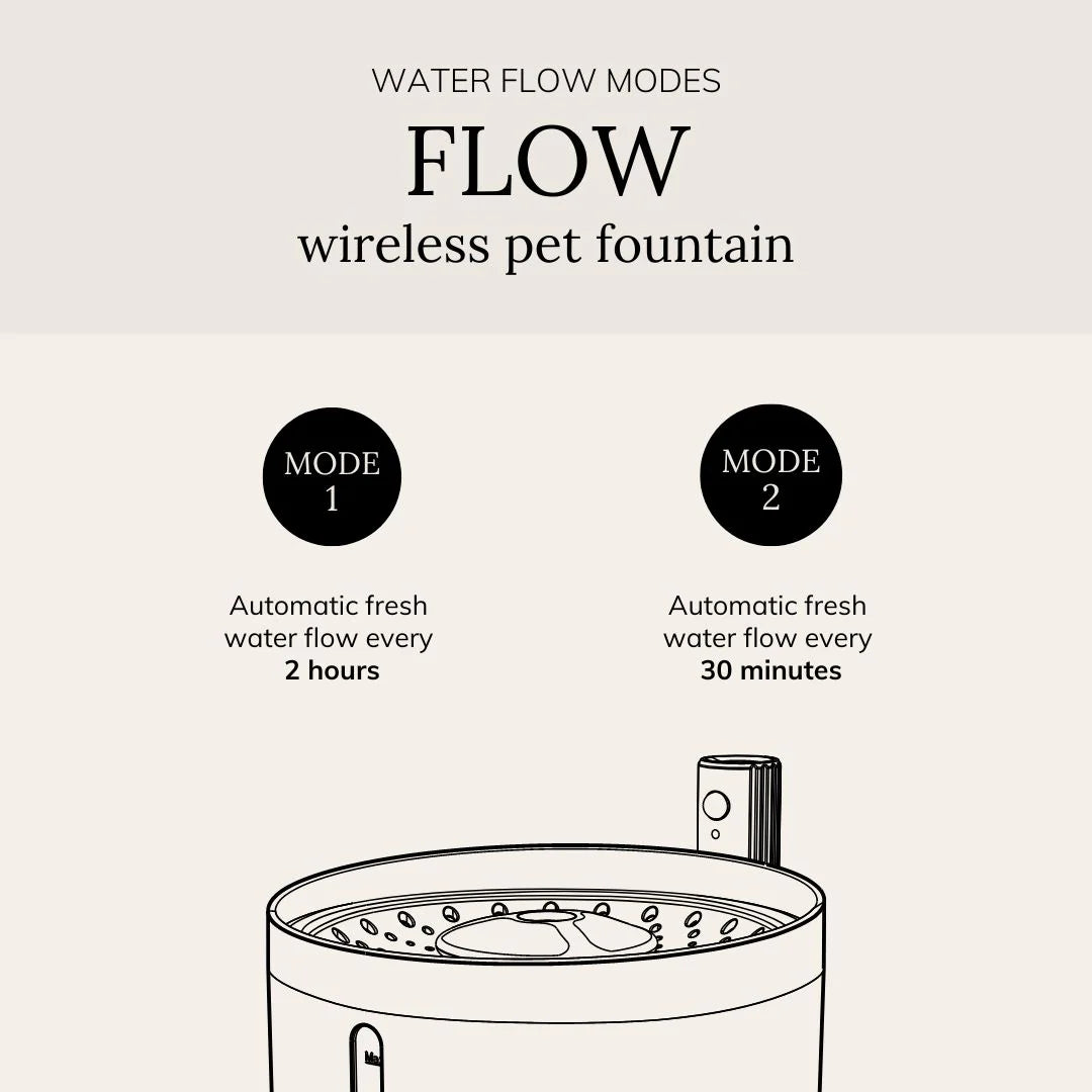 Petlux drinking fountain with app