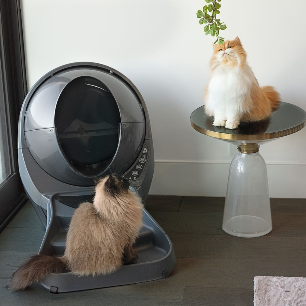 Robot litière Whisker 4 noir