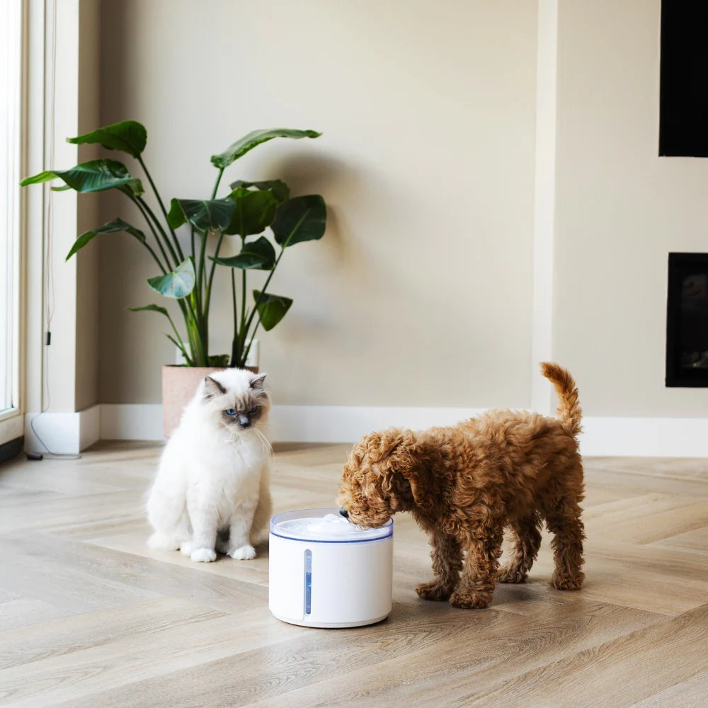 Petlux drinking fountain with app