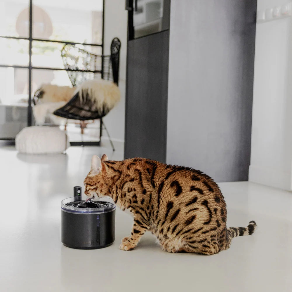 Petlux drinking fountain with app