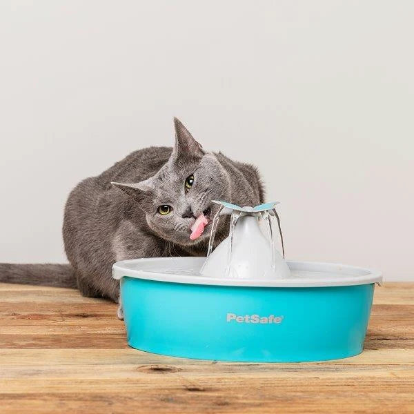 Petlux drinking fountain with app