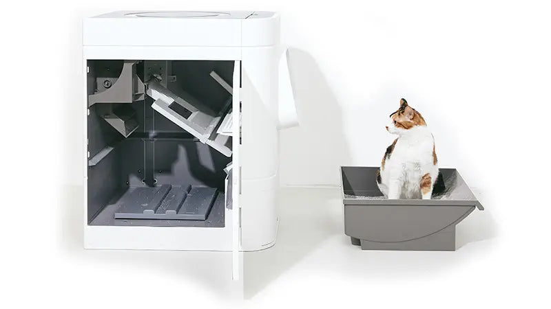 LavvieBot S Robot wit