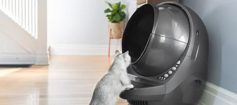 Whisker Litter Robot 3 Connect