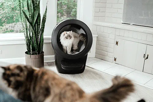 Whisker Litter Robot 4 zwart