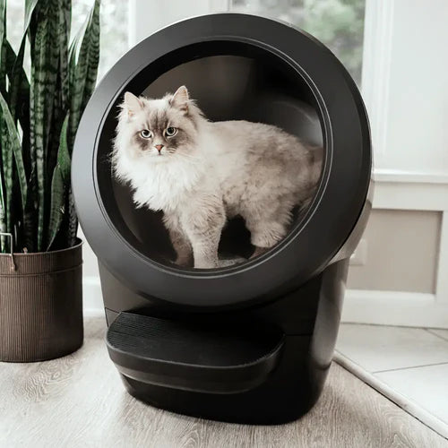 Whisker Litter Robot 4 zwart