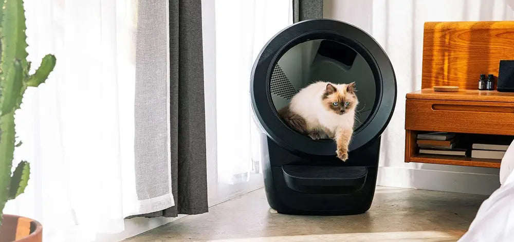 Whisker Litter Robot 4 zwart