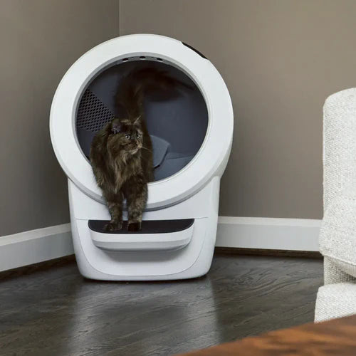 Whisker Litter Robot 4 wit