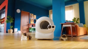 Petkit Purobot Ultra AI
