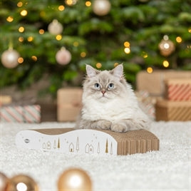 Roue de course Petlux V2 noire